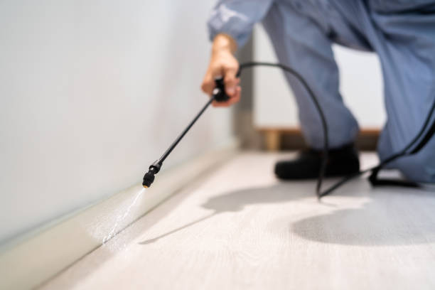 Licensed Termite Control service in Forney, TX - Nex Pest Control