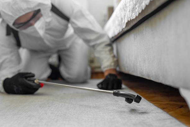 Professional Termite Control technician working in Forney, TX