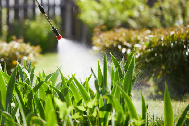 24/7 Emergency Termite Control experts in Forney, TX