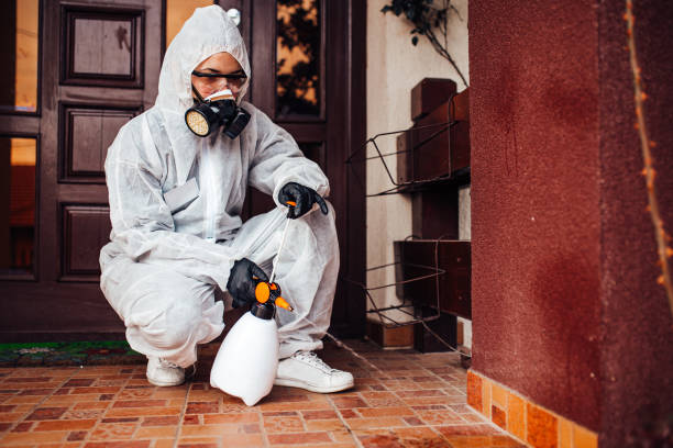 Reliable Termite Control contractor in Forney, TX by Nex Pest Control