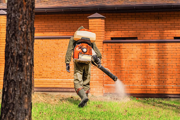 Top rated local Termite Control specialists in Forney, TX